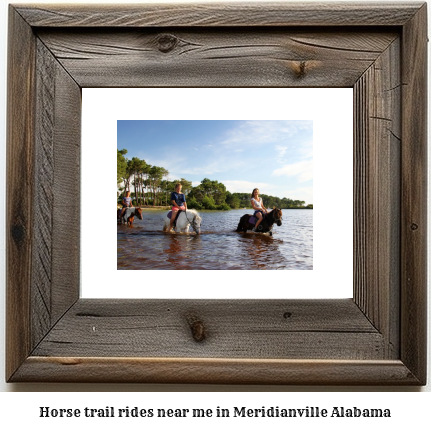 horse trail rides near me in Meridianville, Alabama